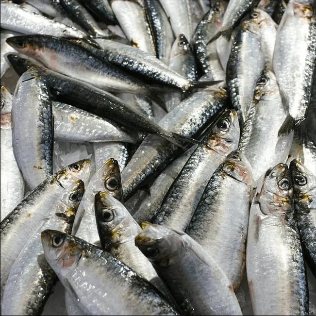 Smart Water Management