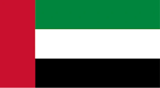 UAE flag