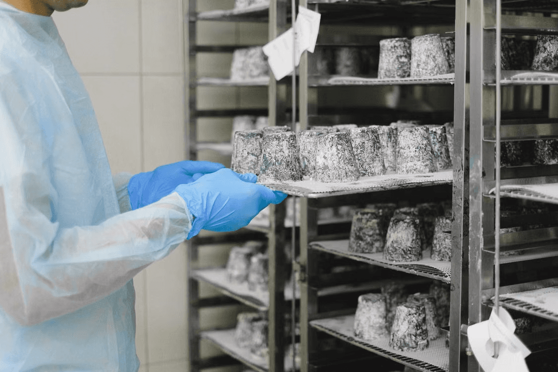 LoRaWAN vs BLE for Cold Chain Monitoring: Which Should You Choose? (2026 Guide)
