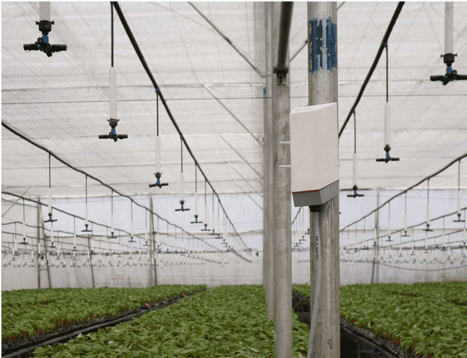 FreshMart’s Smart Farming Revolution